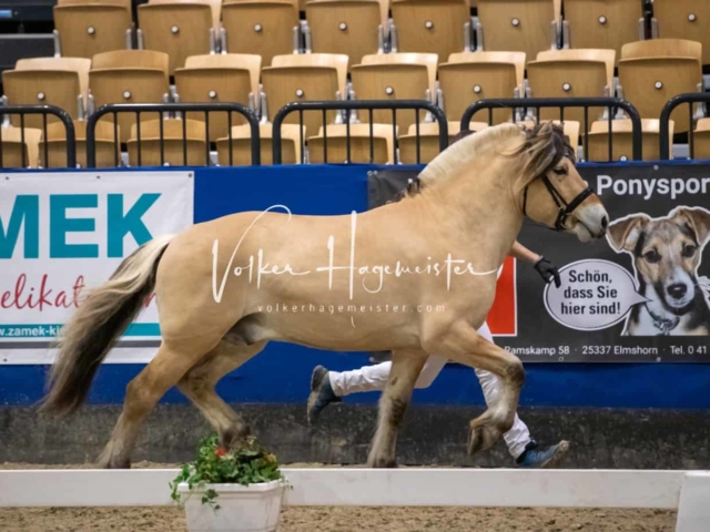 Impressionen PSB Samstag unsortiert 3