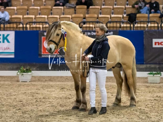 Impressionen PSB Samstag unsortiert 4