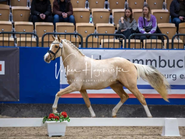 Impressionen PSB Samstag unsortiert 5