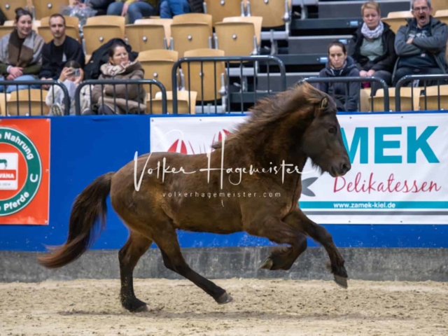 Impressionen PSB Samstag unsortiert 6