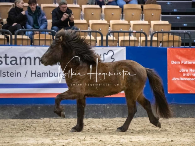 Impressionen PSB Samstag unsortiert 7