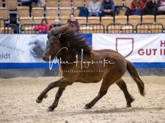 Impressionen PSB Samstag unsortiert 8