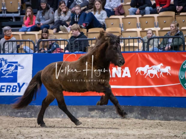 Impressionen PSB Samstag unsortiert 9