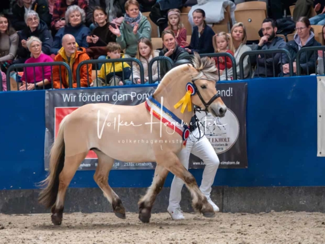 PSB Körung Schärpenträger 26