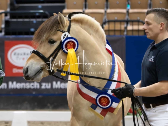 PSB Körung Schärpenträger 27