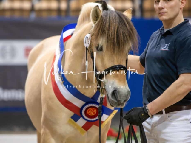 PSB Körung Schärpenträger 28