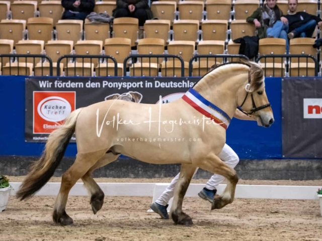 PSB Körung Schärpenträger 30