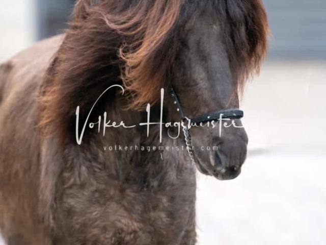 Impressionen PSB Samstag unsortiert 10