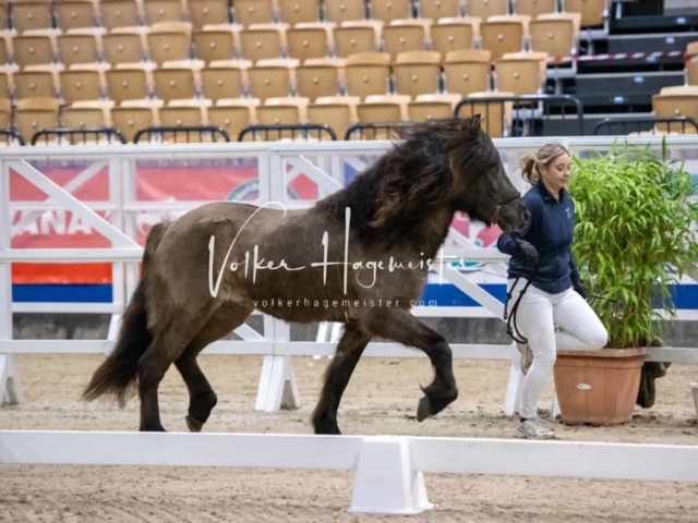 Impressionen PSB Samstag unsortiert 11