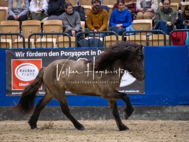 Impressionen PSB Samstag unsortiert 12