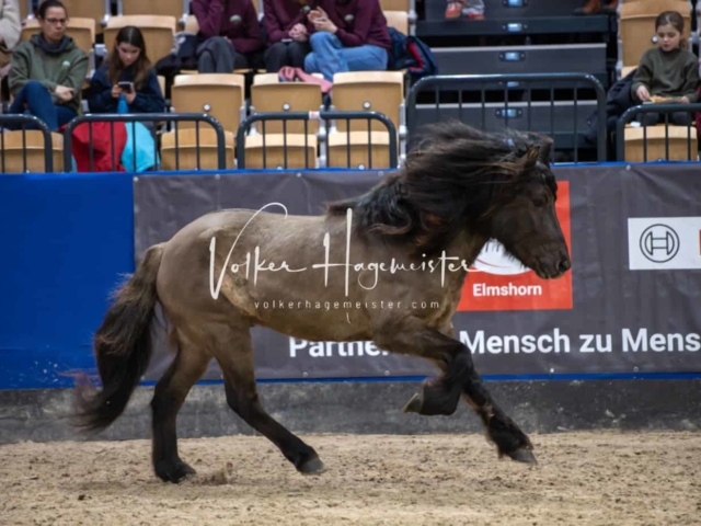 Impressionen PSB Samstag unsortiert 13