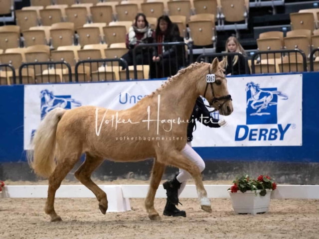 Impressionen PSB Samstag unsortiert 14