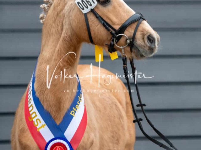 Impressionen PSB Samstag unsortiert 16