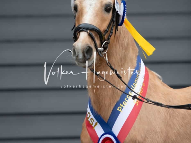 Impressionen PSB Samstag unsortiert 17