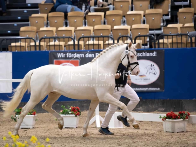 Impressionen PSB Samstag unsortiert 18