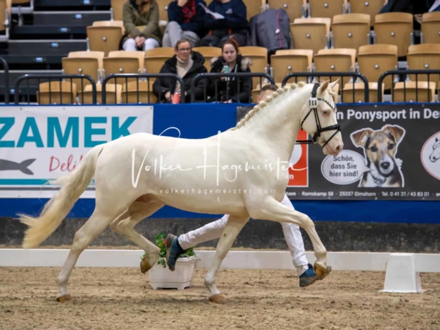 Impressionen PSB Samstag unsortiert 19