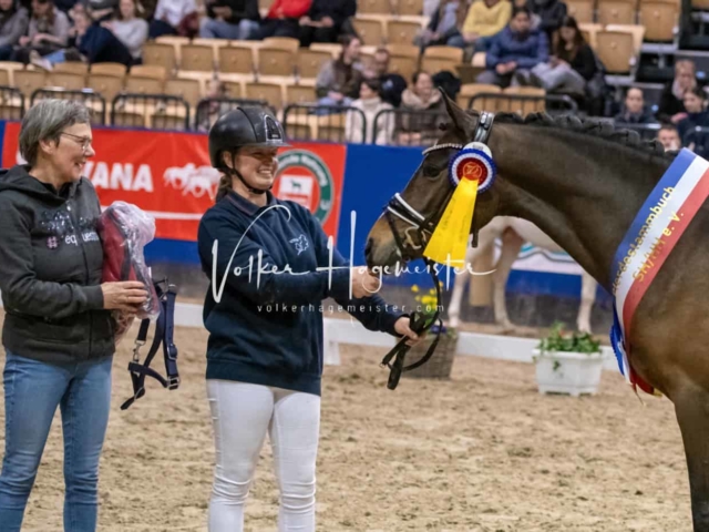 PSB Körung Schärpenträger 7