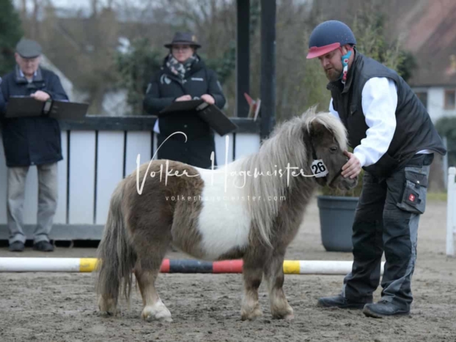 ZfdP Kranichstein Ponys 21