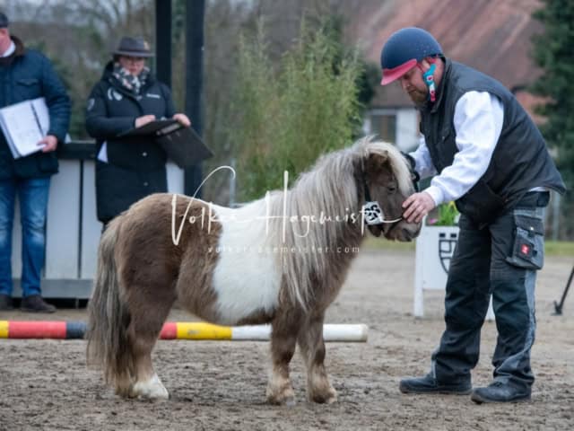 ZfdP Kranichstein Ponys 22