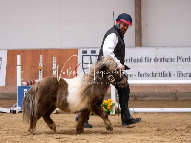 ZfdP Kranichstein Ponys 23