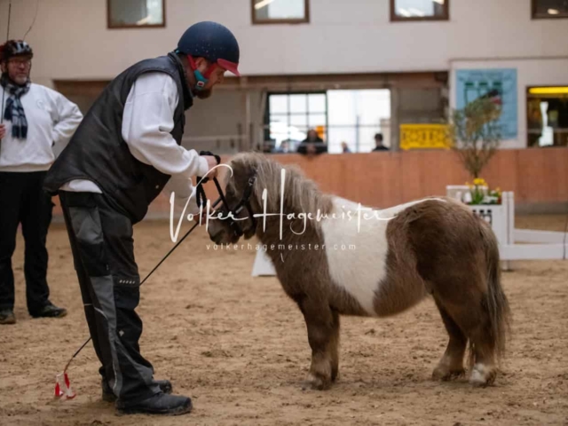 ZfdP Kranichstein Ponys 24