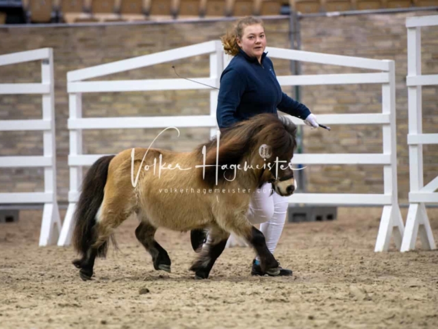 Impressionen PSB Samstag unsortiert 22