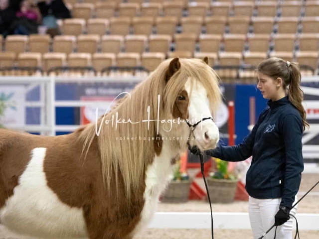 PSB Körung unsortiert Teil 1 2