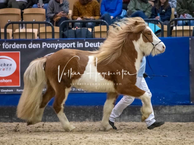 Impressionen PSB Samstag unsortiert 23