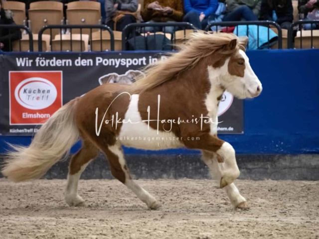 Impressionen PSB Samstag unsortiert 24