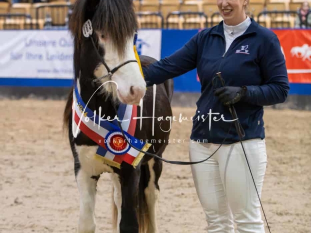 PSB Körung Schärpenträger 13