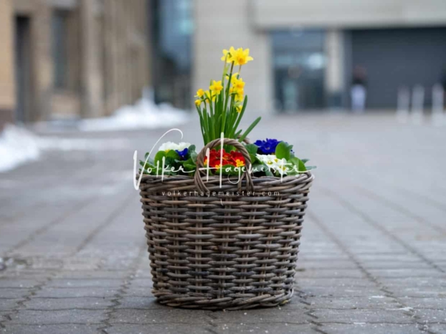 Impressionen PSB Körung Freitag 24