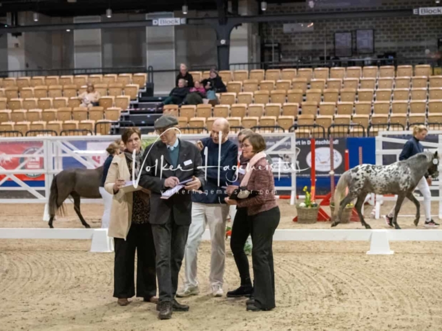 PSB Körung unsortiert Teil 1 3