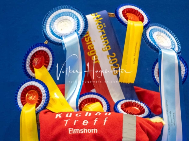 PSB Körung Schärpenträger 15