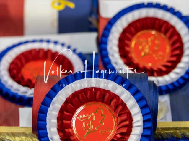 PSB Körung Schärpenträger 16