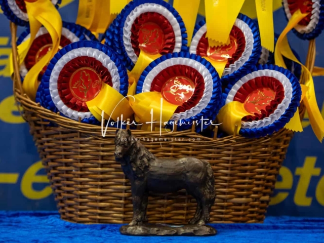 PSB Körung Schärpenträger 17