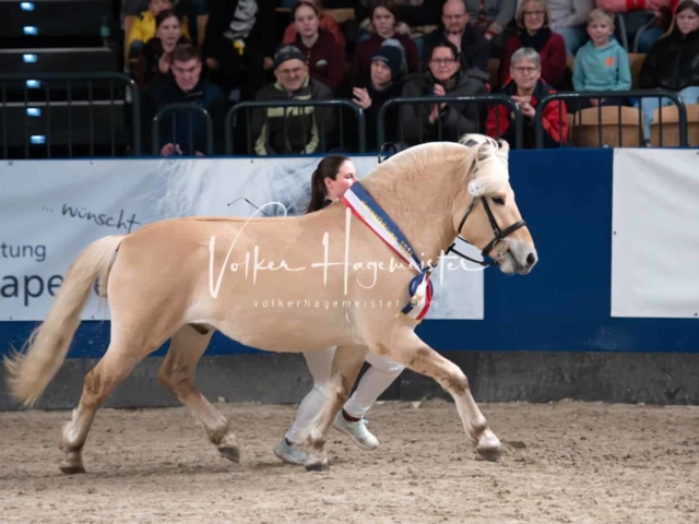 PSB Körung Schärpenträger 19