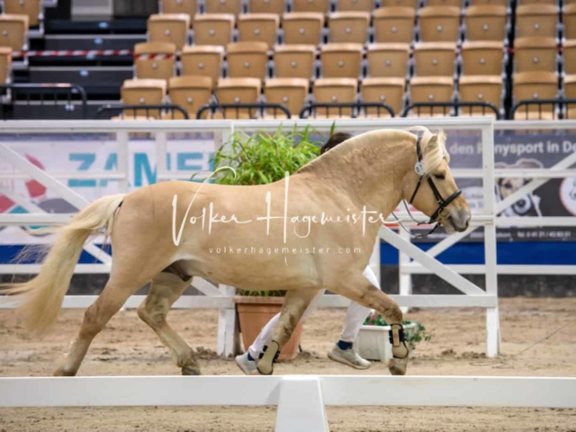 PSB Körung Schärpenträger 21