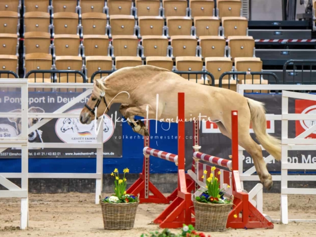 PSB Körung Schärpenträger 22