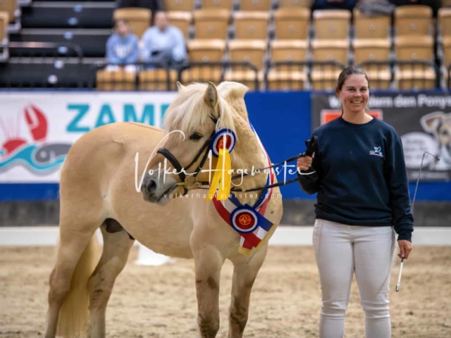 PSB Körung Schärpenträger 24