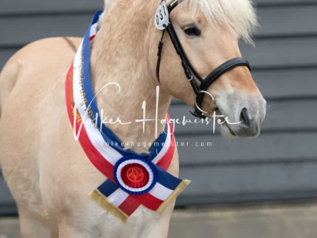 PSB Körung Schärpenträger 25