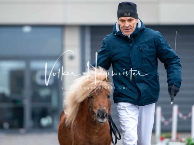 Impressionen PSB Körung Freitag 26