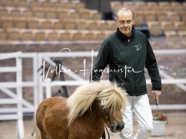 Impressionen PSB Körung Freitag 30