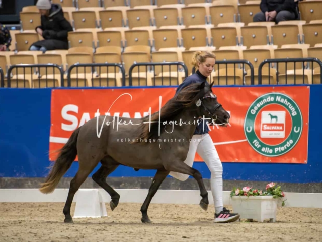 PSB Körung Schärpenträger 29