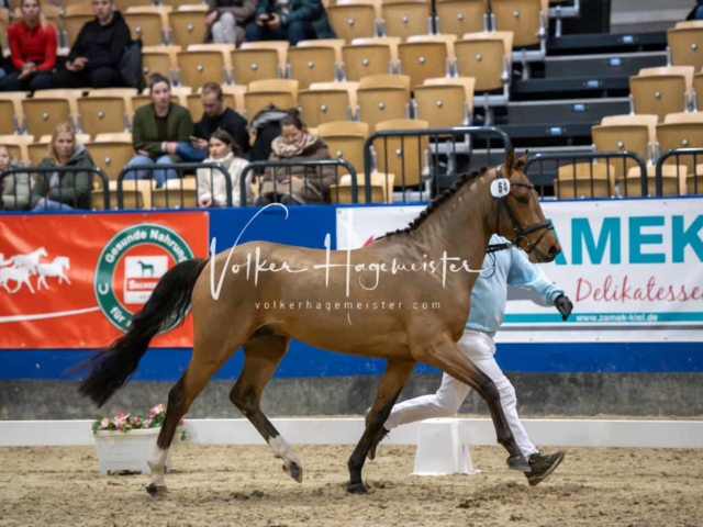 Impressionen PSB Samstag unsortiert 26