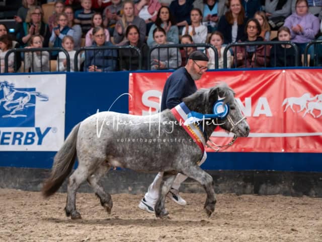 PSB Körung Schärpenträger 1