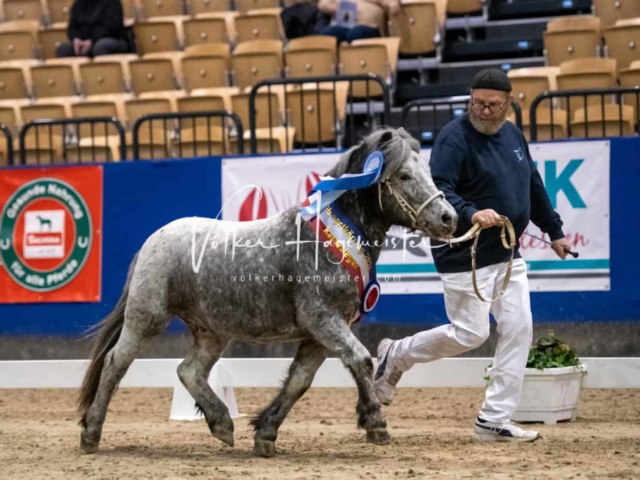 PSB Körung Schärpenträger 3