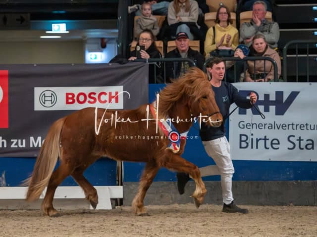 PSB Körung Schärpenträger 8