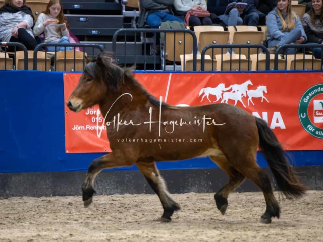 Impressionen PSB Samstag unsortiert 28