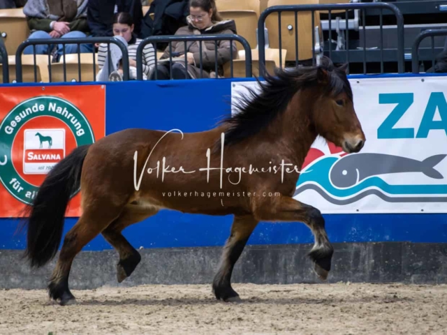 Impressionen PSB Samstag unsortiert 29