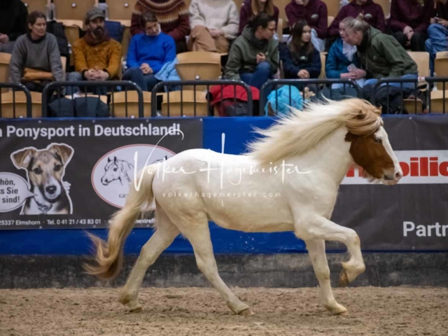 Impressionen PSB Samstag unsortiert 30